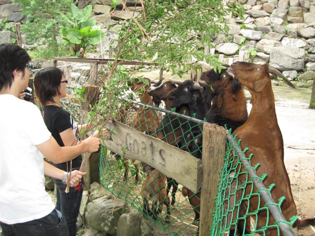 Tou-Cheng Leisure Farm Hotel Toucheng Exterior photo
